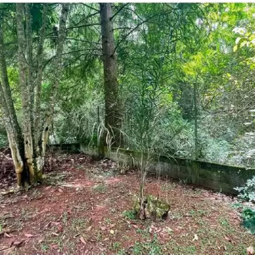 rural-853m2-10m2-estrada-da-escola-agricola-898-chacara-hadassa-commons-inn-chacara-sao-jose-chacara-sao-jose-cotia-sp-cep-33118-001
