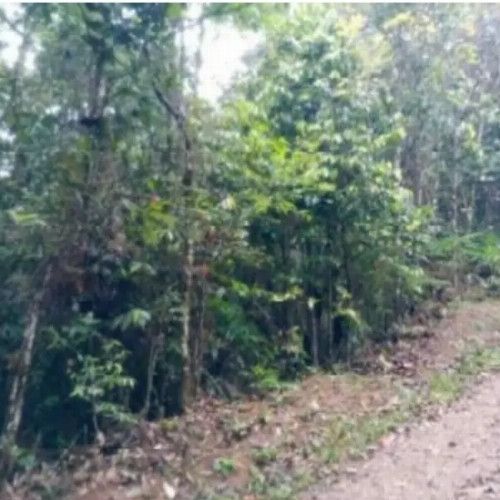 terreno-2602-alq-estrada-das-macaubas-lote-01-quadra-24-curucutu-sao-bernardo-do-campo-sp-cep-33052-002