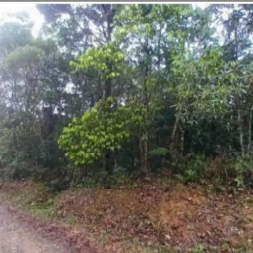 terreno-2602-alq-estrada-das-macaubas-lote-01-quadra-24-curucutu-sao-bernardo-do-campo-sp-cep-33052-002