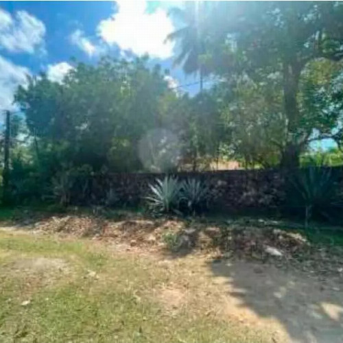 casa-491m2-1899m2-rua-jaraqui-276-null-null-maria-farinha-paulista-pe-cep-32829-005