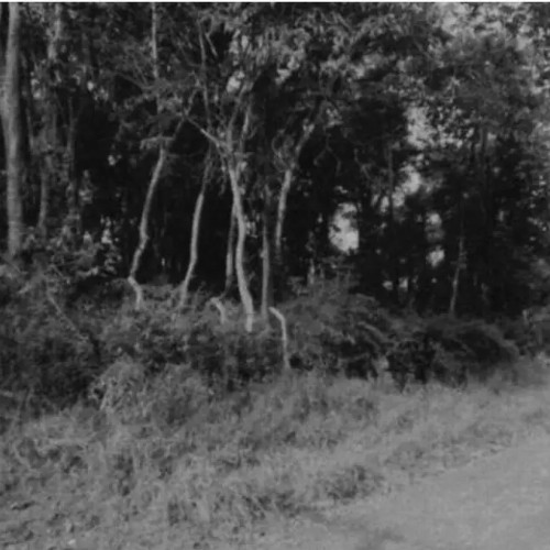 terreno-5000m2-avenida-pablo-neruda-lote-no-13-loteamento-recanto-dos-palmares-vila-das-palmeiras-atibaia-sp-cep-33070-001