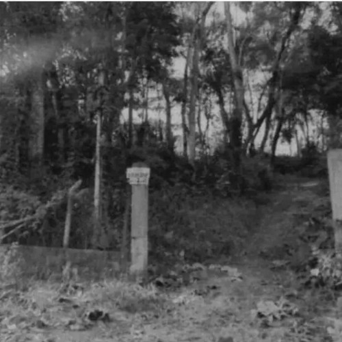 terreno-5000m2-avenida-pablo-neruda-lote-no-13-loteamento-recanto-dos-palmares-vila-das-palmeiras-atibaia-sp-cep-33070-001