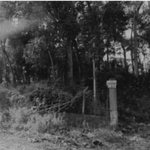 terreno-5000m2-avenida-pablo-neruda-lote-no-13-loteamento-recanto-dos-palmares-vila-das-palmeiras-atibaia-sp-cep-33070-001