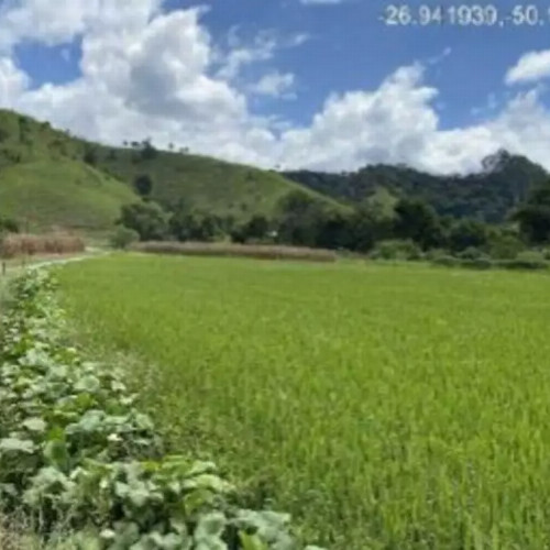 outros-89612-alq-estrada-vicinal-da-rua-29-de-dezembro-lugar-denominado-ribeirao-carneiro-zona-rural-rio-do-campo-sc-cep-89198-000
