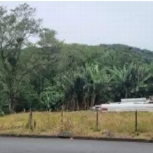 outros-89612-alq-estrada-vicinal-da-rua-29-de-dezembro-lugar-denominado-ribeirao-carneiro-zona-rural-rio-do-campo-sc-cep-89198-000