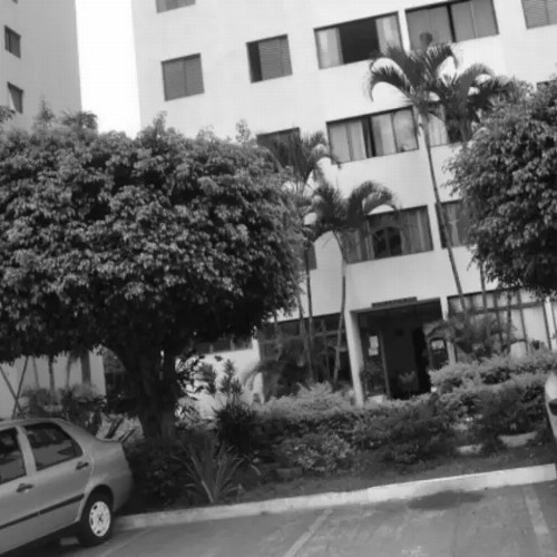 apto-6314m2-104-ha-rua-professor-antonio-maria-moura-954-apartamento-73-do-bloco-03-edificio-cedro-residencial-da-ilha-residencial-da-ilha-capela-do-socorro-sao-paulo-sp-cep-33016-006