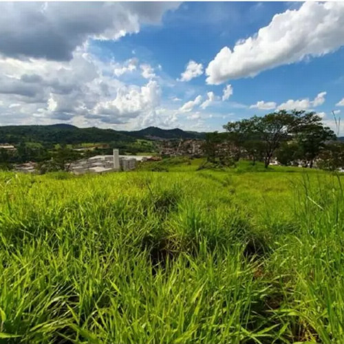 terreno-18-ha-rua-manoel-de-carvalho-null-null-jardim-de-ala-ribeirao-das-neves-mg-cep-33132-002