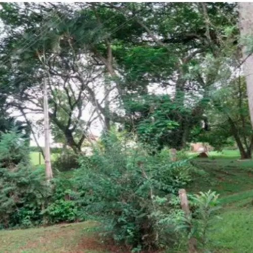 terreno-2001m2-passagem-d-1-unidade-autonoma-no-242-capela-do-barreiro-capela-do-barreiro-itatiba-sp-cep-13252-681