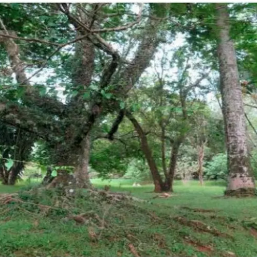 terreno-2001m2-passagem-d-1-unidade-autonoma-no-242-capela-do-barreiro-capela-do-barreiro-itatiba-sp-cep-13252-681