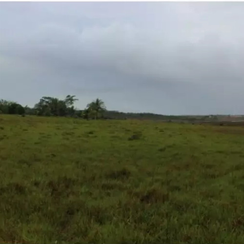 terreno-16791-alq-rodovia-ba-512-gleba-no-15-da-fazenda-jaqueira-regiao-industrial-de-expansao-urbana-camacari-ba-cep-42800-001