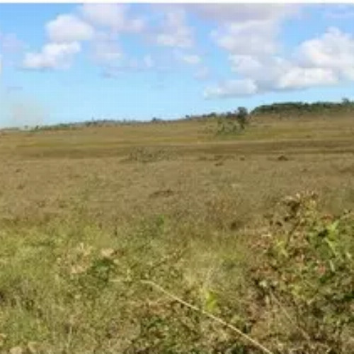 terreno-16791-alq-rodovia-ba-512-gleba-no-15-da-fazenda-jaqueira-regiao-industrial-de-expansao-urbana-camacari-ba-cep-42800-001