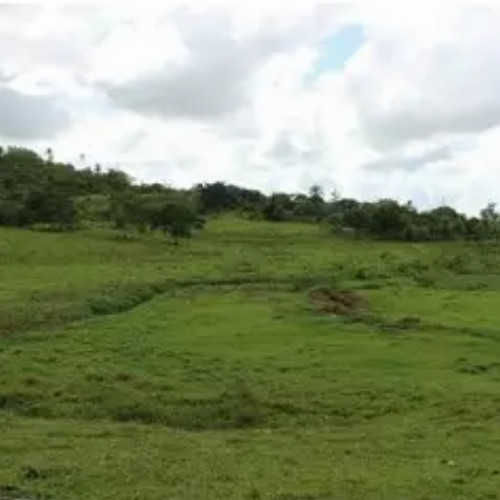 terreno-16791-alq-rodovia-ba-512-gleba-no-15-da-fazenda-jaqueira-regiao-industrial-de-expansao-urbana-camacari-ba-cep-42800-001