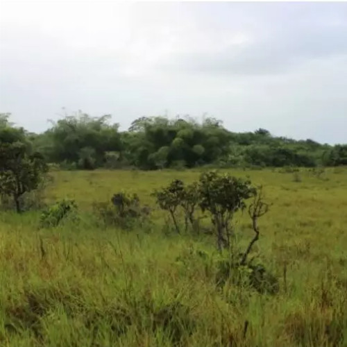 terreno-16791-alq-rodovia-ba-512-gleba-no-15-da-fazenda-jaqueira-regiao-industrial-de-expansao-urbana-camacari-ba-cep-42800-001