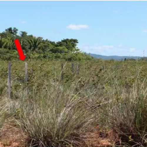 outros-5435m2-estrada-ba-030-fazenda-cavalcanti-01-parte-1-a-zona-do-rio-do-campo-marau-ba-cep-45520-000