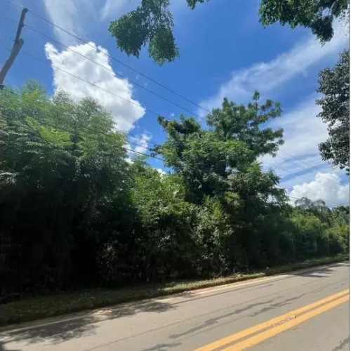 terreno-125-ha-estrada-antonio-bueno-do-prado-guinho-esquina-com-a-rua-benedito-aparecido-de-oliveira-guaxinduva-atibaia-sp-cep-12940-001