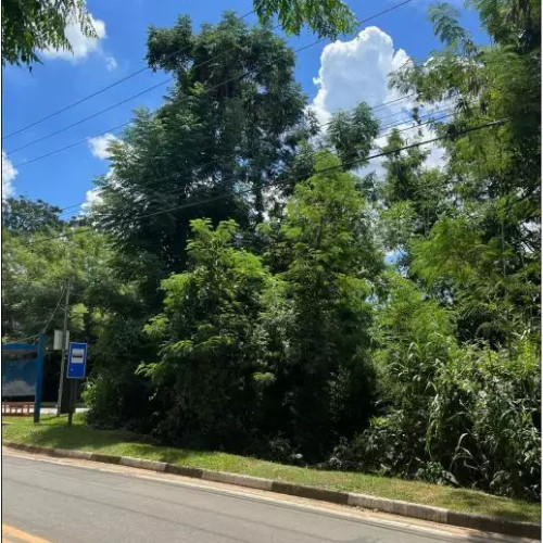 terreno-125-ha-estrada-antonio-bueno-do-prado-guinho-esquina-com-a-rua-benedito-aparecido-de-oliveira-guaxinduva-atibaia-sp-cep-12940-001