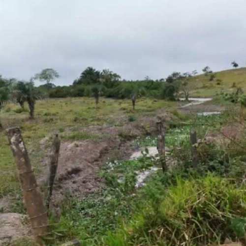 terreno-41568-alq-estrada-vicinal-humildes-feira-de-santana-ba-cep-33137-010