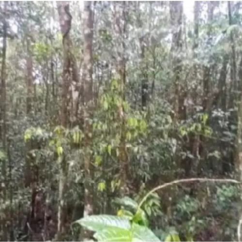 terreno-2602-alq-estrada-das-macaubas-lote-01-quadra-24-curucutu-sao-bernardo-do-campo-sp-cep-33052-002_5510
