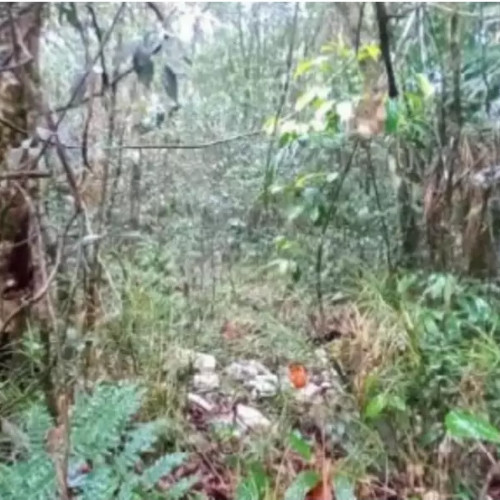 terreno-2602-alq-estrada-das-macaubas-lote-01-quadra-24-curucutu-sao-bernardo-do-campo-sp-cep-33052-002_5510