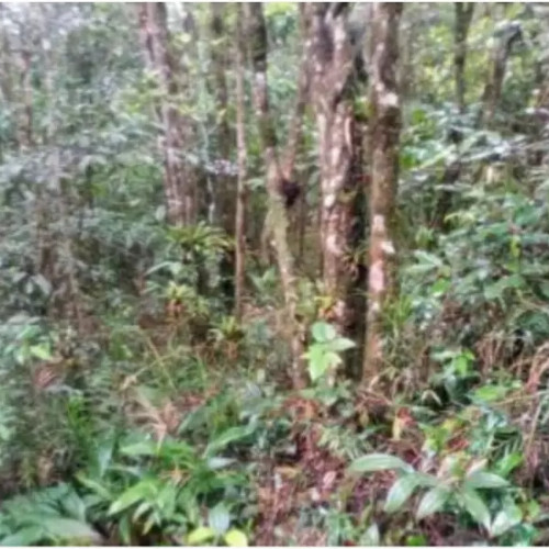 terreno-2602-alq-estrada-das-macaubas-lote-01-quadra-24-curucutu-sao-bernardo-do-campo-sp-cep-33052-002_5510