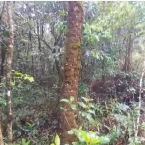 terreno-2602-alq-estrada-das-macaubas-lote-01-quadra-24-curucutu-sao-bernardo-do-campo-sp-cep-33052-002_5510
