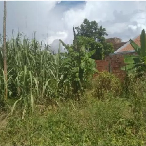 terreno-2-ha-rua-evanildes-rodrigues-lote-430-da-quadra-57-do-setor-11-park-amazonas-ouro-preto-do-oeste-ro-cep-33192-018