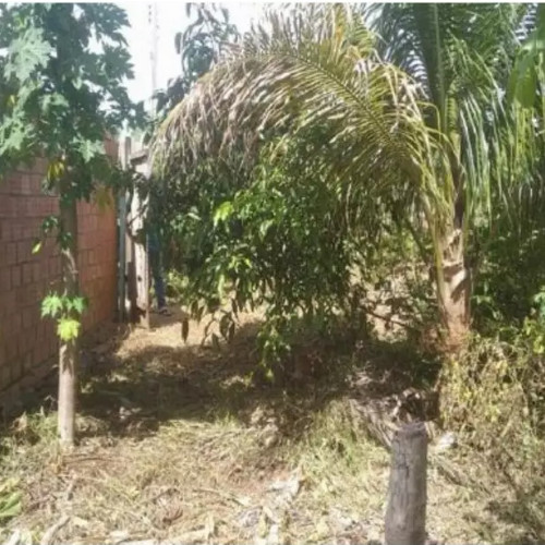 terreno-2-ha-rua-evanildes-rodrigues-lote-430-da-quadra-57-do-setor-11-park-amazonas-ouro-preto-do-oeste-ro-cep-33192-018