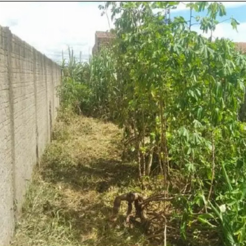 terreno-2-ha-rua-evanildes-rodrigues-lote-430-da-quadra-57-do-setor-11-park-amazonas-ouro-preto-do-oeste-ro-cep-33192-018