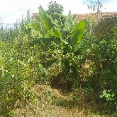 terreno-2-ha-rua-evanildes-rodrigues-lote-430-da-quadra-57-do-setor-11-park-amazonas-ouro-preto-do-oeste-ro-cep-33192-018
