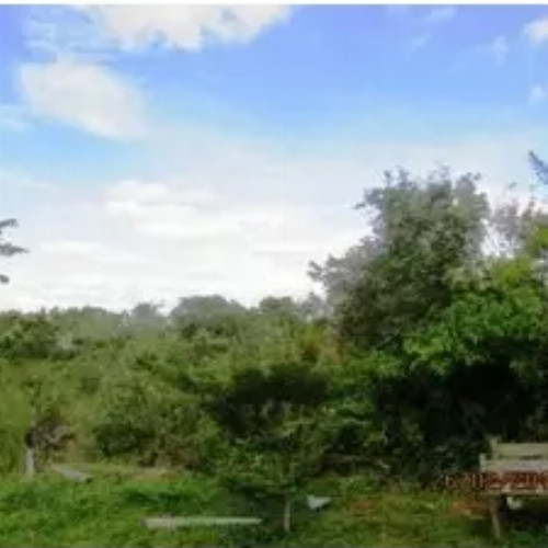terreno-7336m2-r-martiniano-rodrigues-de-oliveira-grogoto-barbacena-mg-cep-33291-004