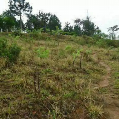 terreno-7336m2-r-martiniano-rodrigues-de-oliveira-grogoto-barbacena-mg-cep-33291-004