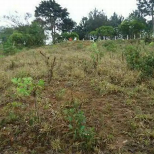 terreno-7336m2-r-martiniano-rodrigues-de-oliveira-grogoto-barbacena-mg-cep-33291-004
