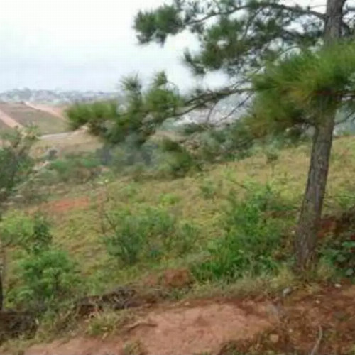 terreno-7336m2-r-martiniano-rodrigues-de-oliveira-grogoto-barbacena-mg-cep-33291-004