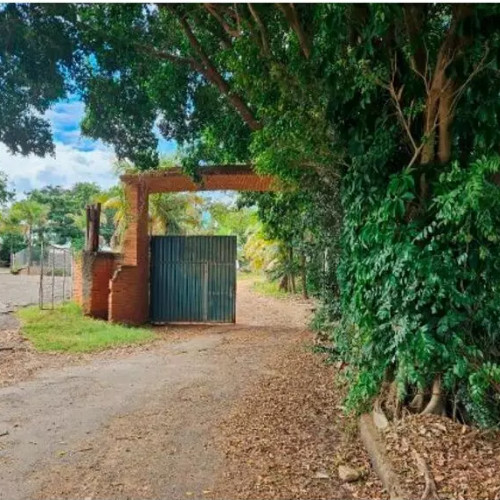 outros-1-alq-rua-jose-bernardinho-leao-entroncamento-com-a-rua-joao-hongo-guaracai-guaracai-sp-cep-33301-002