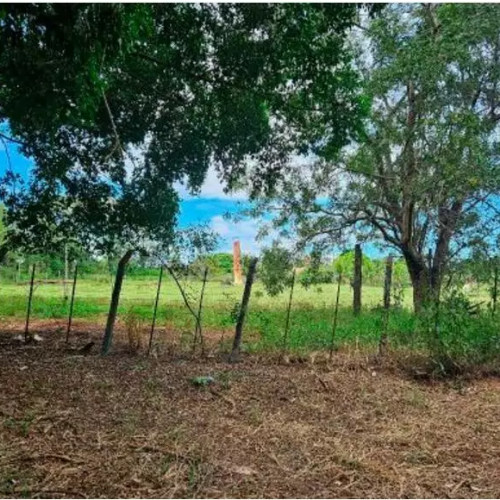 outros-1-alq-rua-jose-bernardinho-leao-entroncamento-com-a-rua-joao-hongo-guaracai-guaracai-sp-cep-33301-002