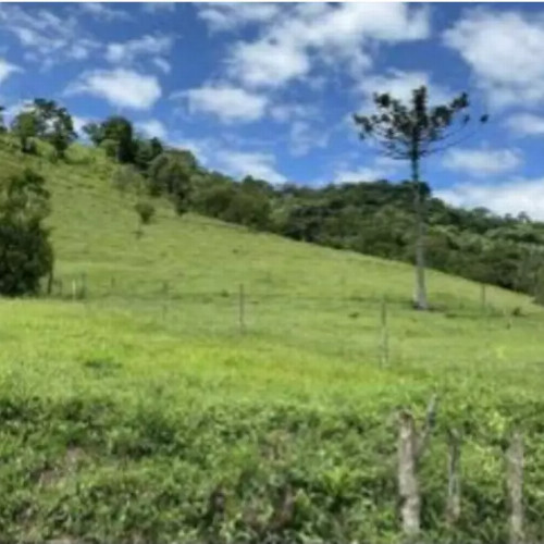 outros-89612-alq-estrada-vicinal-da-rua-29-de-dezembro-lugar-denominado-ribeirao-carneiro-zona-rural-rio-do-campo-sc-cep-89198-000_7089