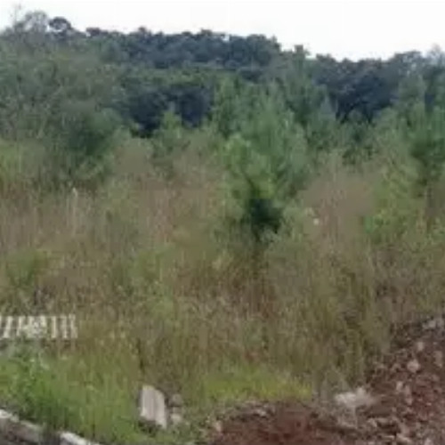 apto-109m2-rua-adelino-angelo-cegoni-249-apartamento-no-02-jardim-charqueadas-caxias-do-sul-rs-cep-95110-175_7918