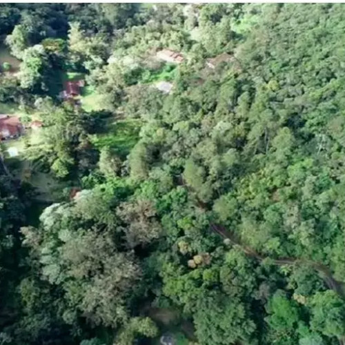 terreno-181-ha-travessa-mury-11424-coloniais-28-e-29-area-b-sitio-lago-dos-montes-mury-nova-friburgo-rj-cep-33370-001